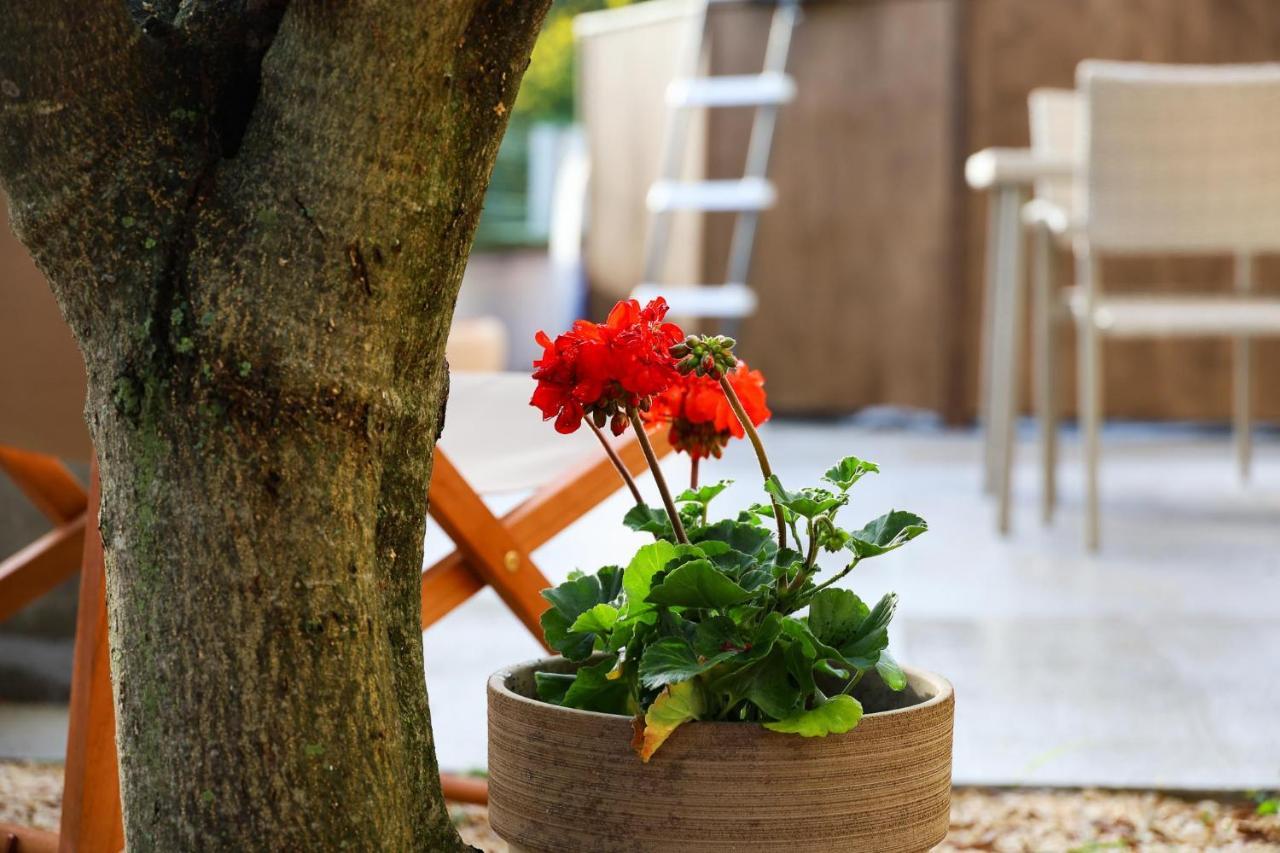 The Florens Residence Near The Beach With The Pool, Bbq And Kids Playground, Zadar Diklo Bagian luar foto